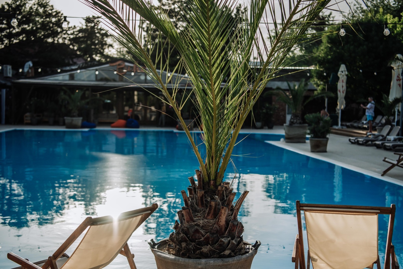 Daimon Summer Pool 