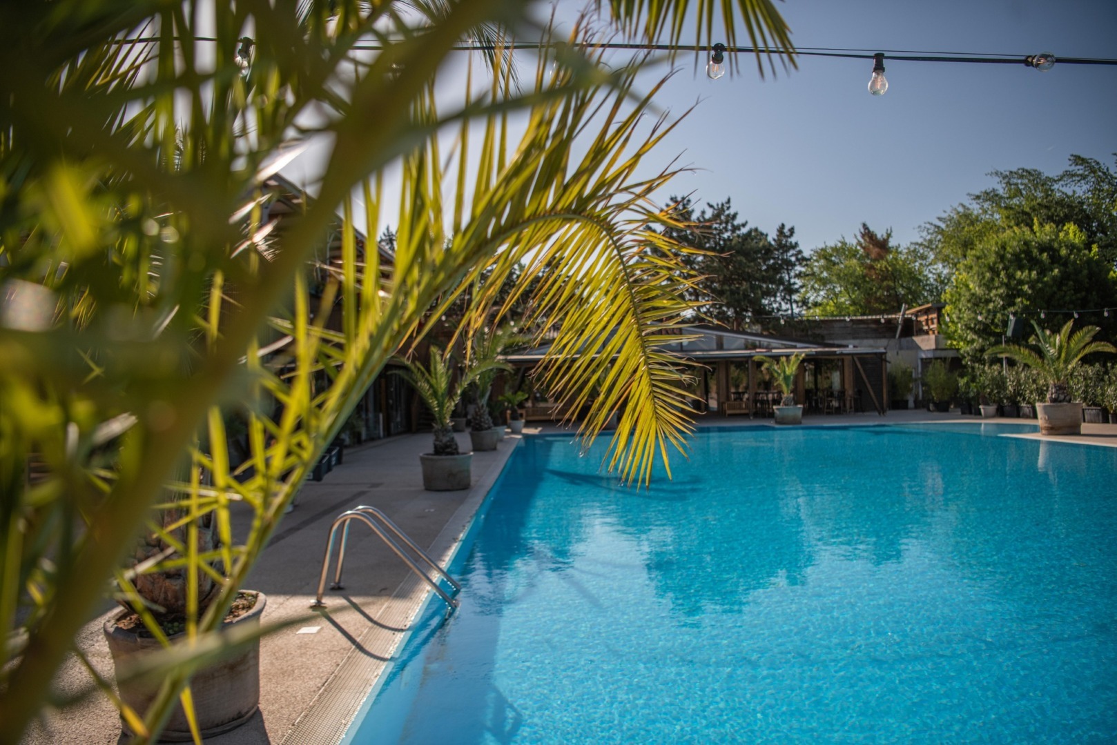 Daimon Summer Pool 