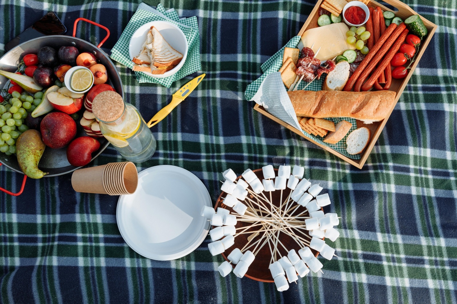 Cum eviti toxxinfectiile alimentare la picnic sau bufet