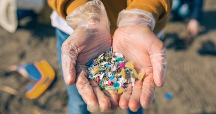 Cum ajungem să mâncăm microplastic