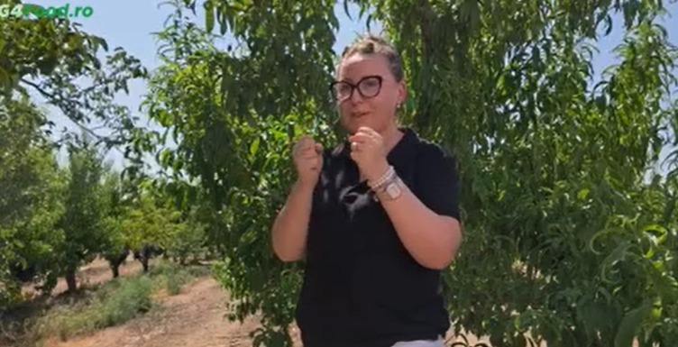 Anamaria Trifu