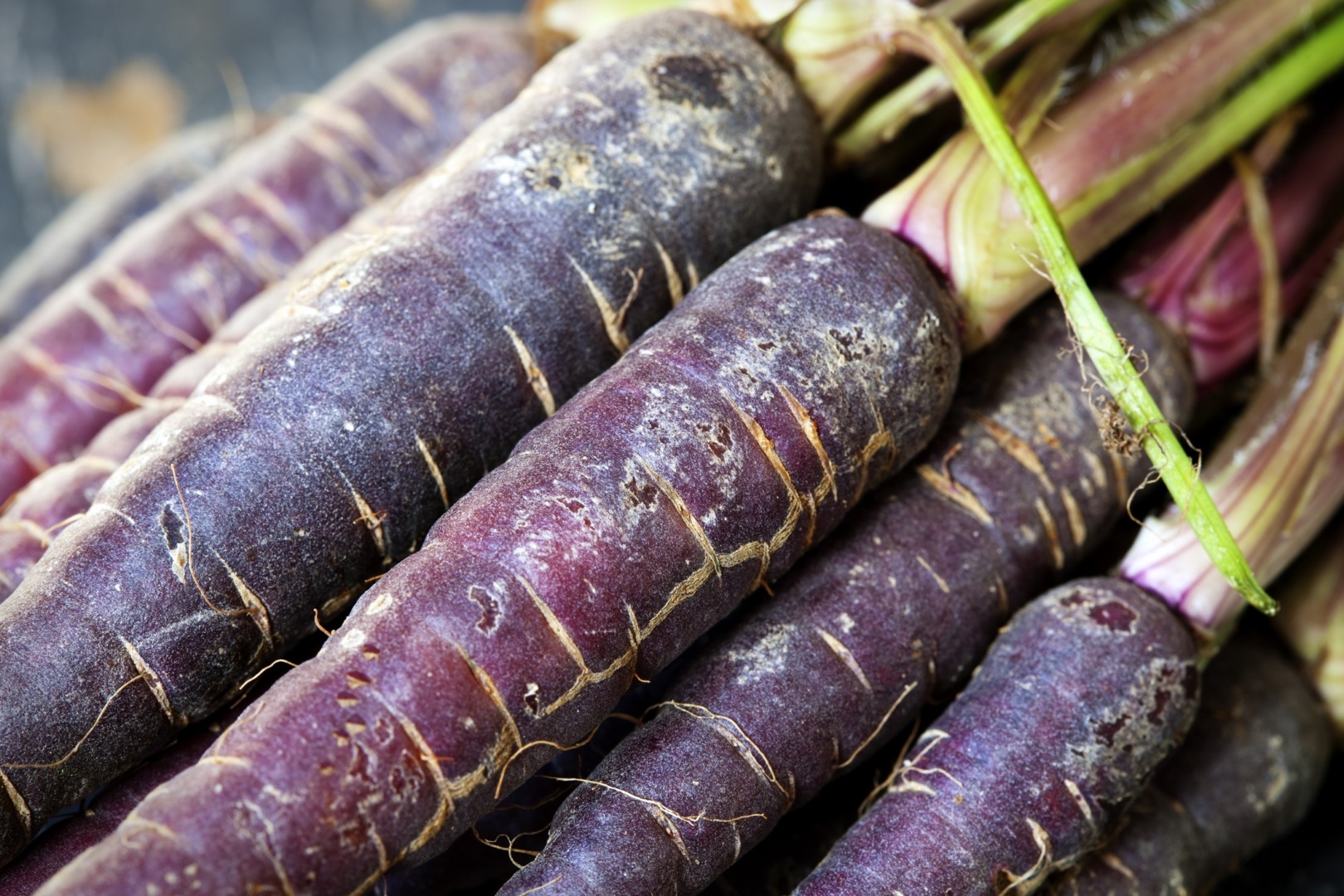 Fructe și legume modificate genetic