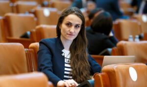 oana toiu bugetul ue