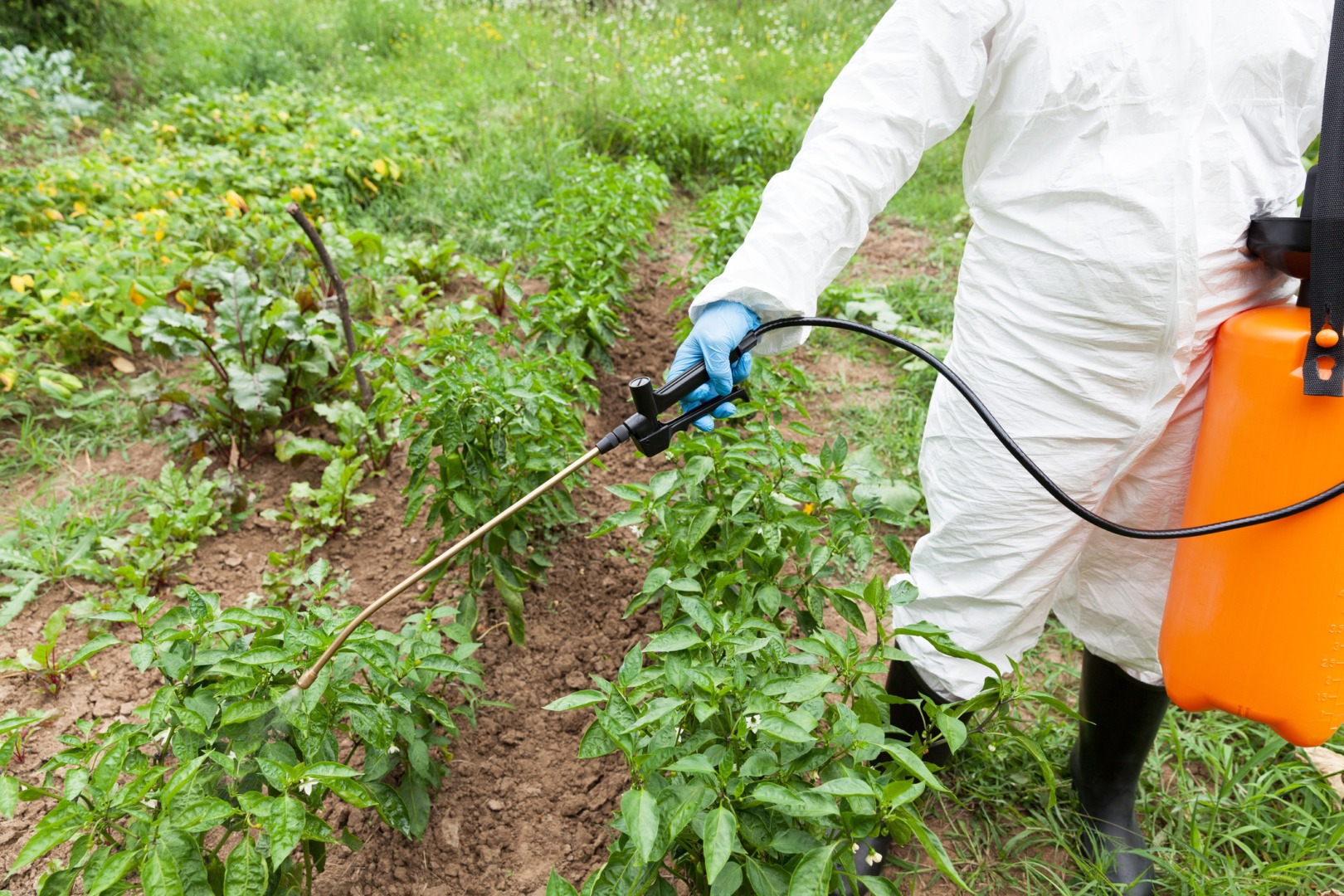 pesticide
