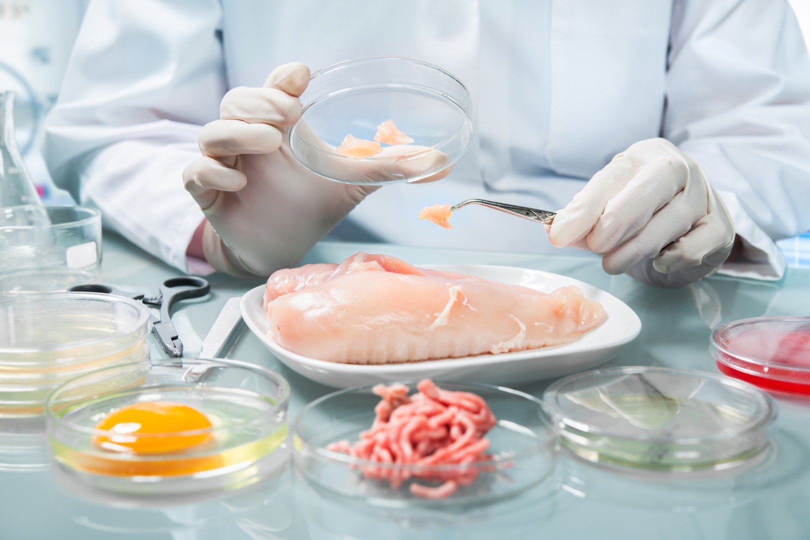 Siguranța alimentară nu a fost niciodată opțională și a salvat vieți