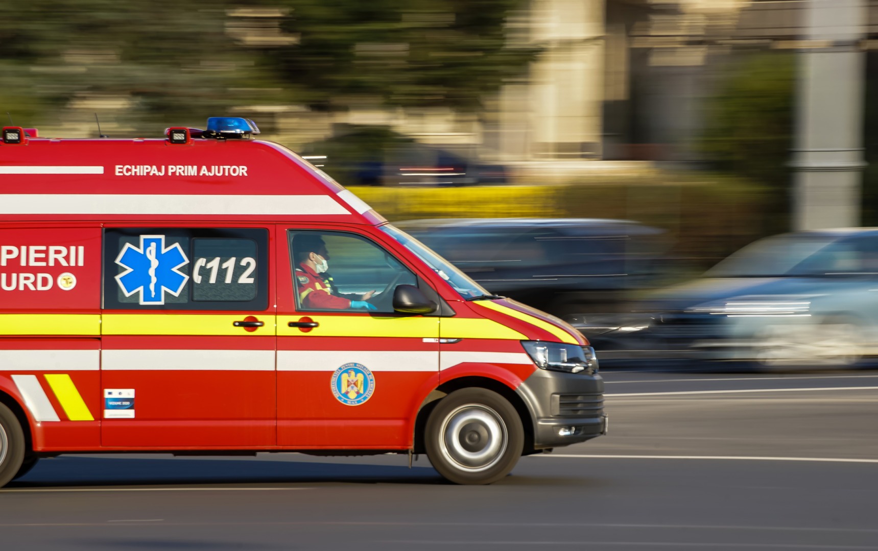 O persoană fost rănită după ce mai multe vaci au ajuns pe șosea