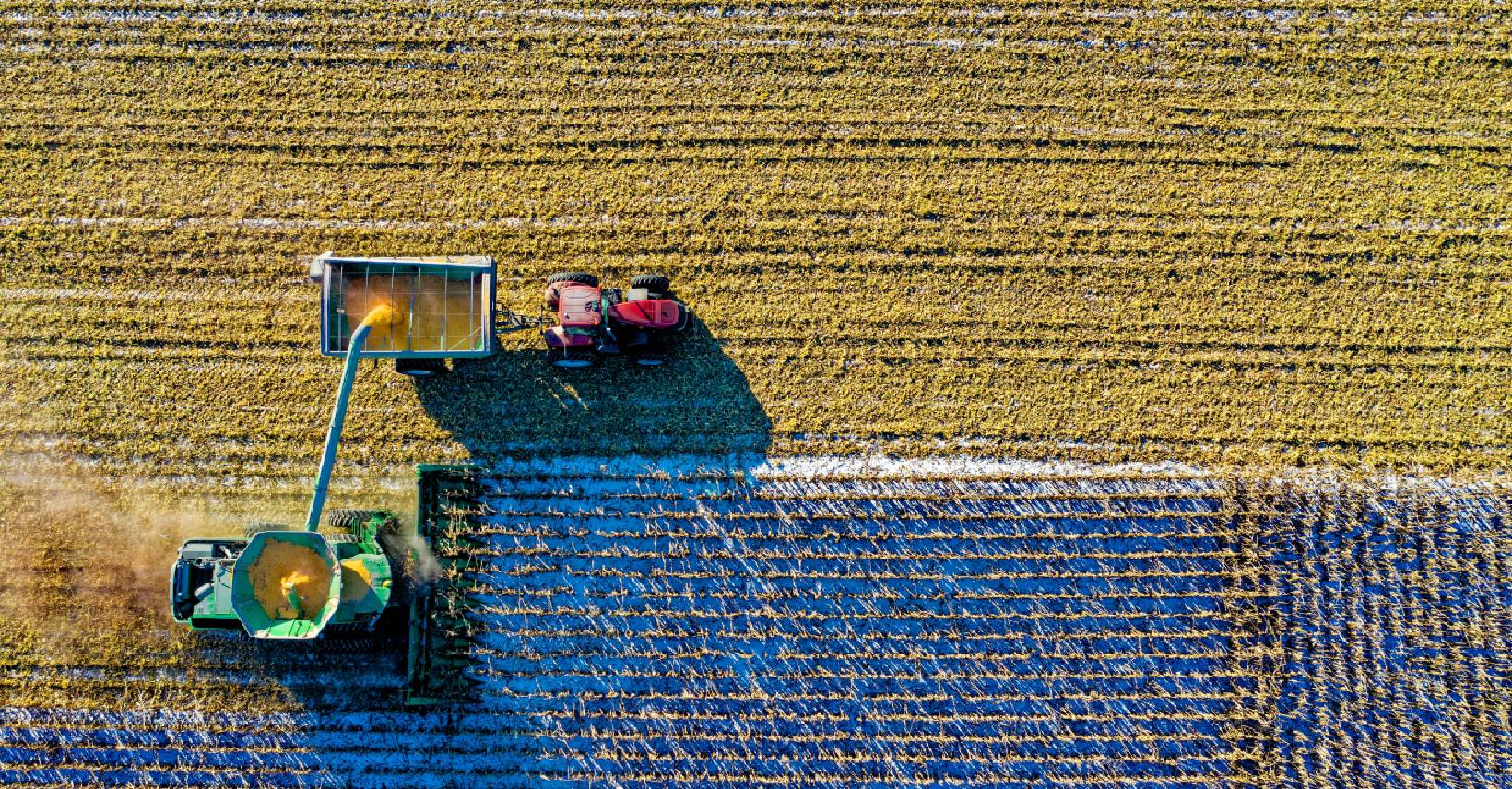 inteligență artificială agricultură precizie securitate alimentară