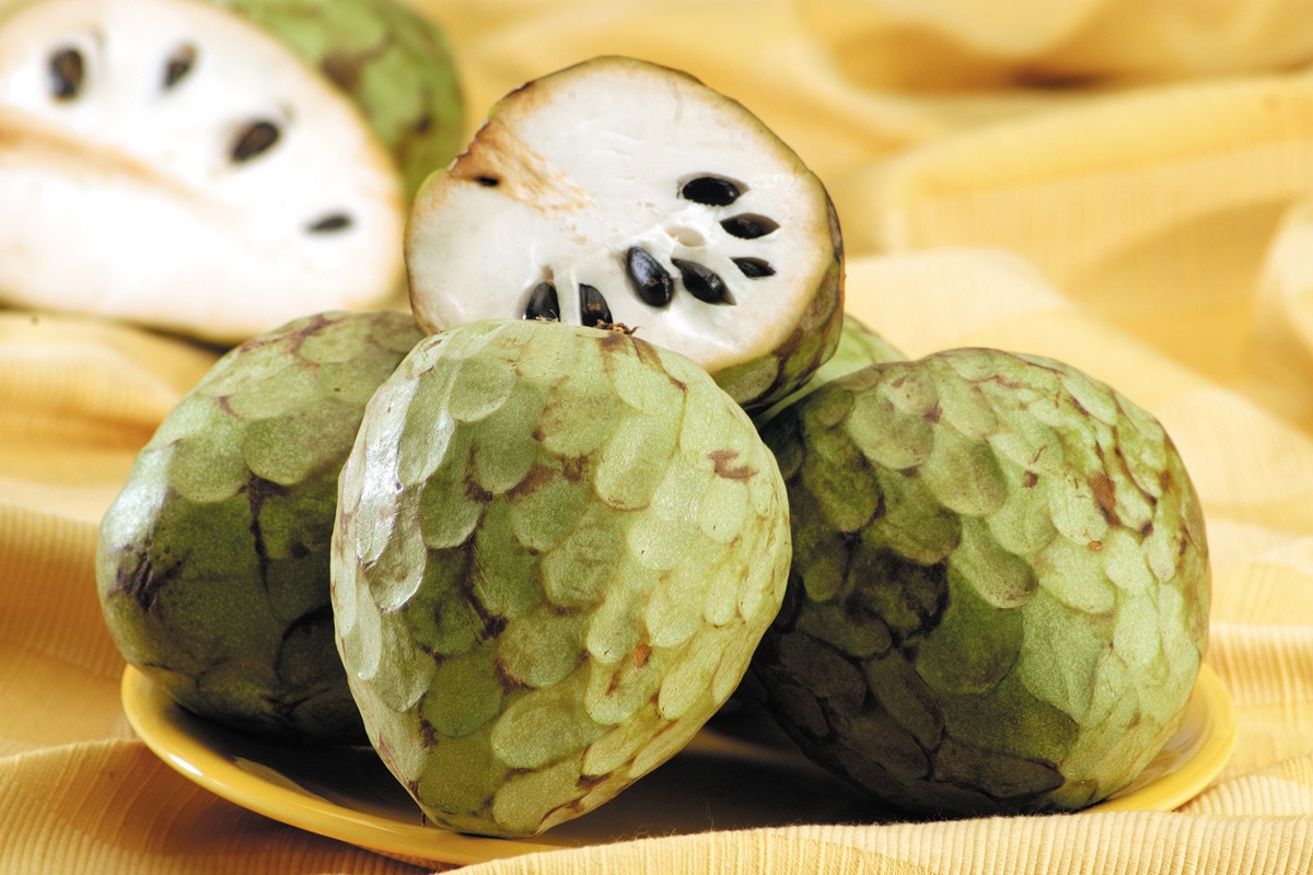 annona-cherimola
