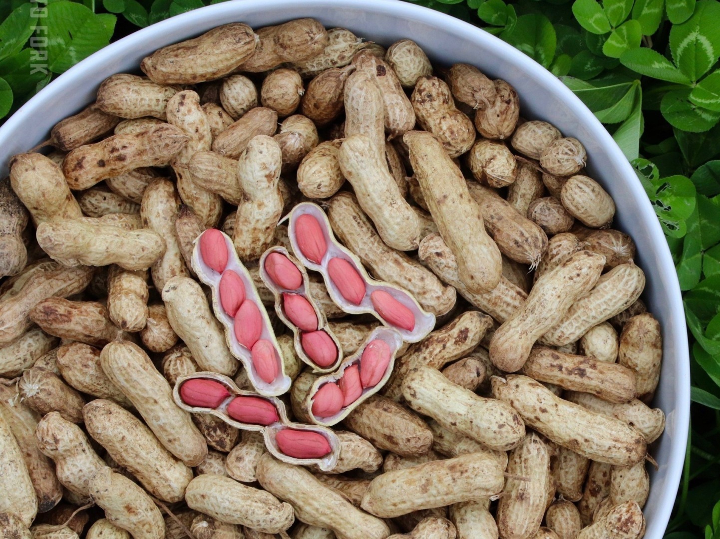 Argentina, lider mondial la productia de arahide