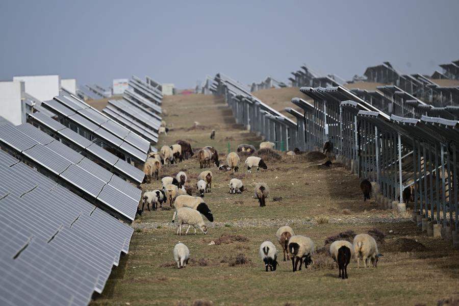 cea mai mare ferma solara, in China
