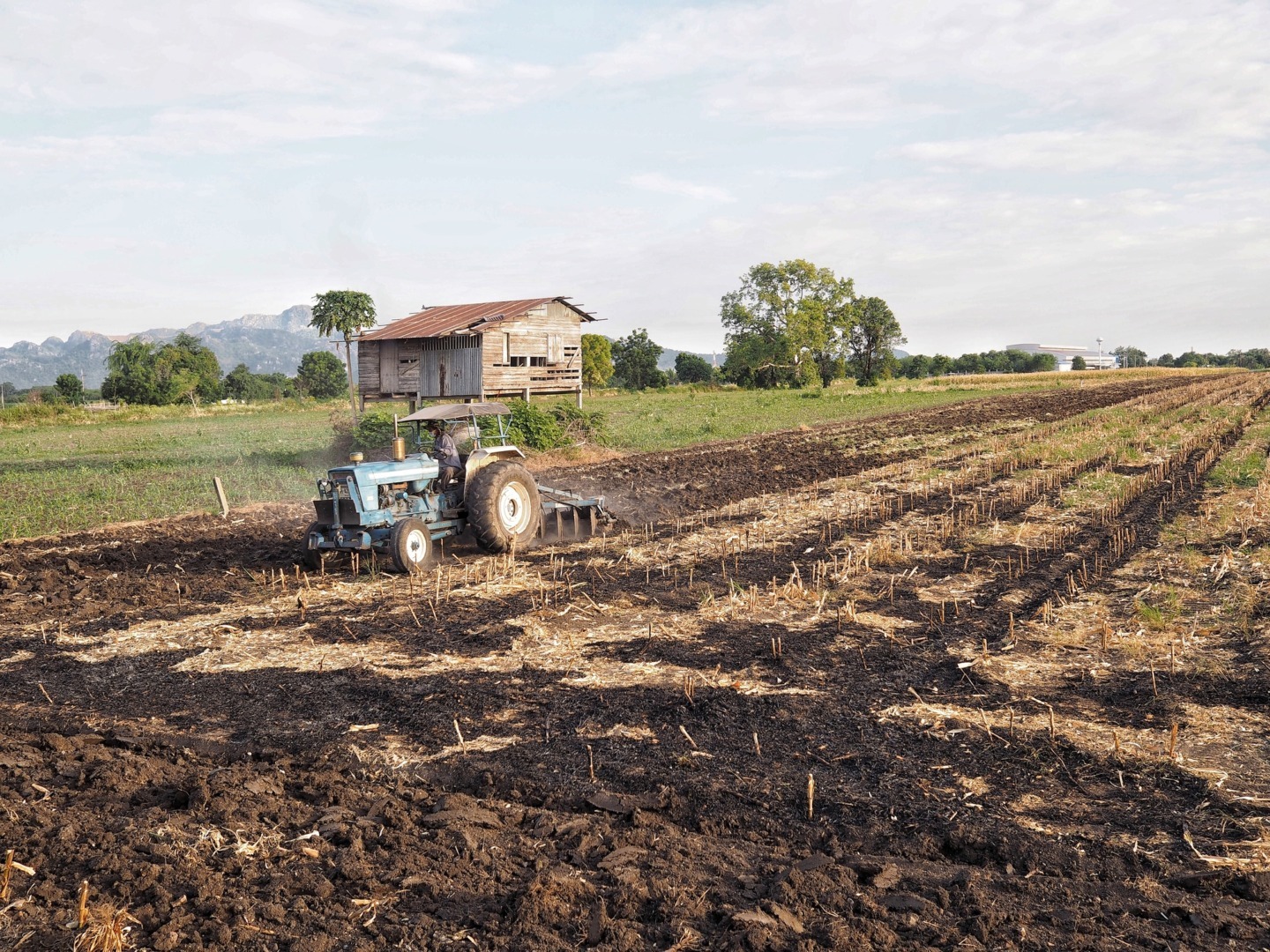 Custurile fermierilor au crescut după tarifele importurilor de îngrășăminte rusești