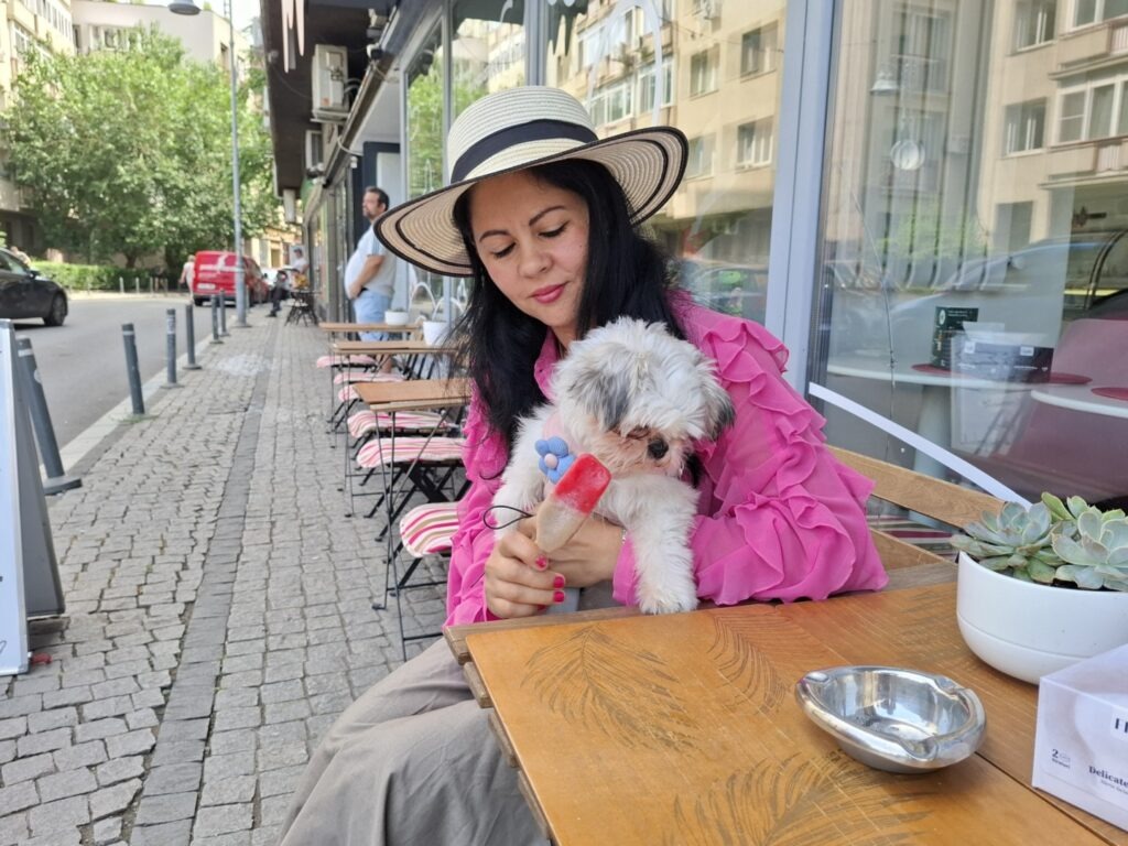 Înghețată pentru câini