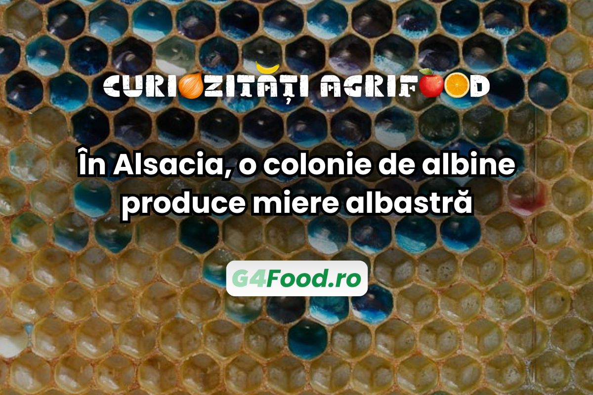 miere albastra