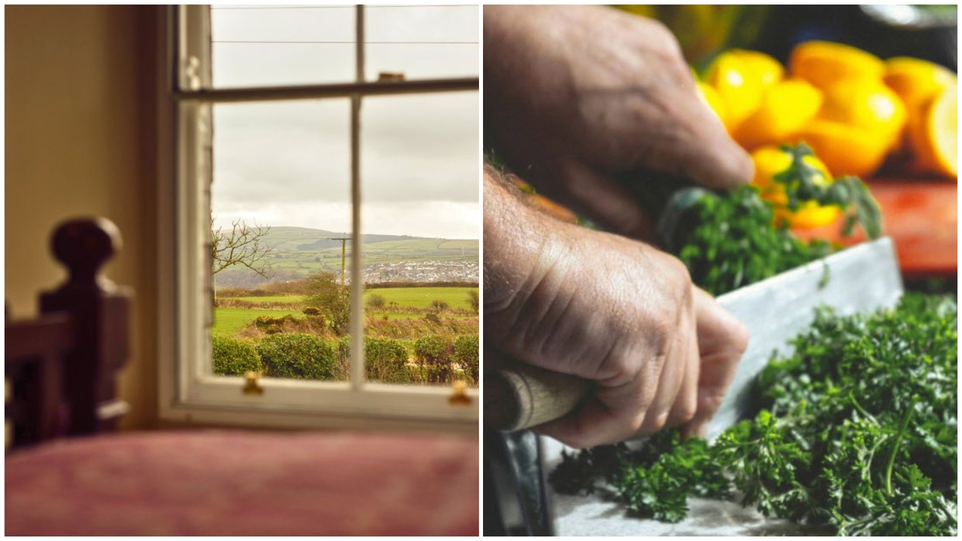 ferme gastronomice