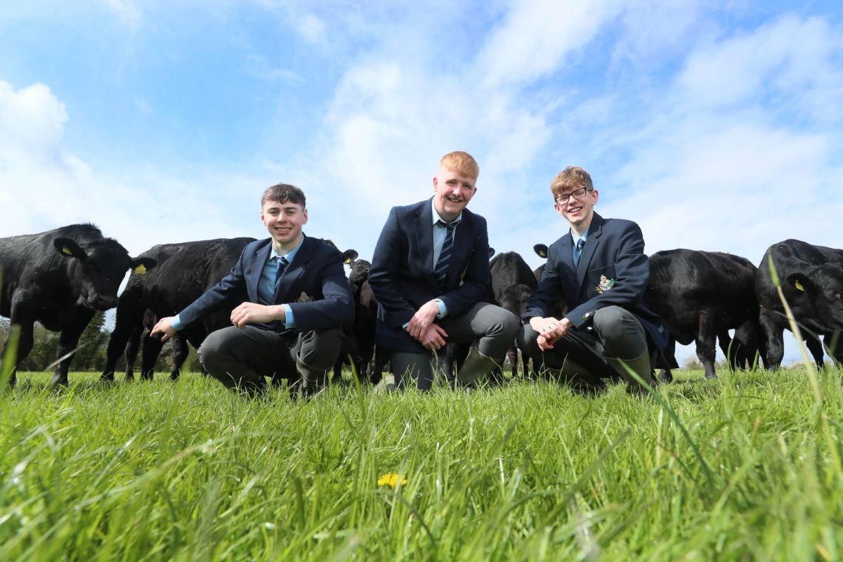 irlanda-pregateste-o-strategie-pentru-atragerea-tinerilor-in-agricultura-si-zootehnie