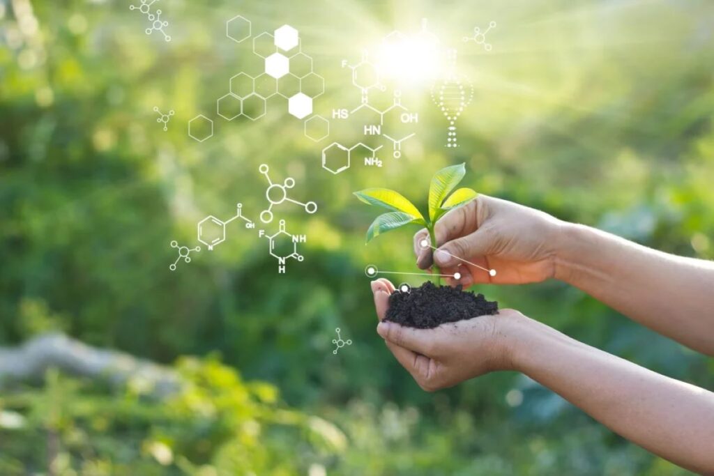 ce sunt biostimulatorii si cum ajuta plantele