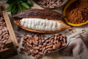 Suplimentele cu cacao pot avea o legătură cu longevitatea