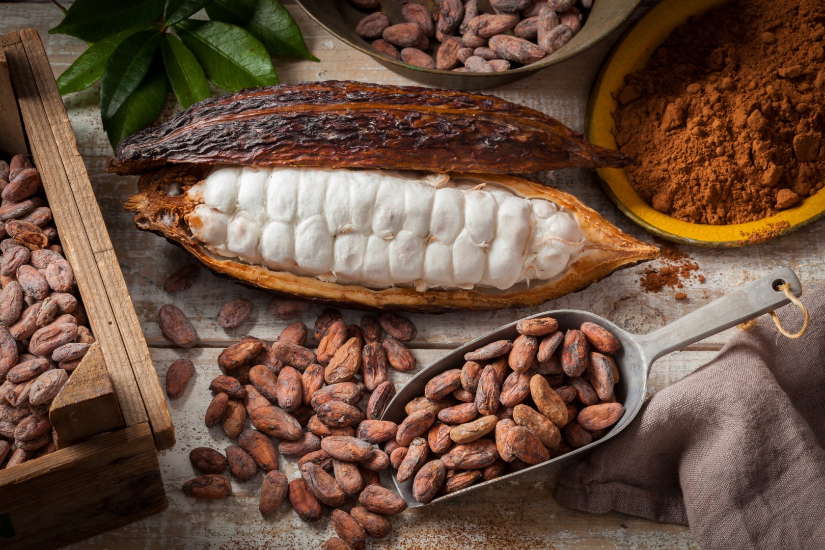 Suplimentele cu cacao pot avea o legătură cu longevitatea