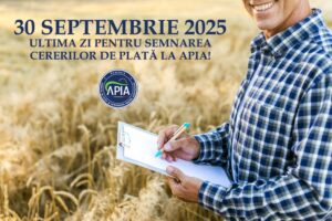 Cererile de plată la APIA
