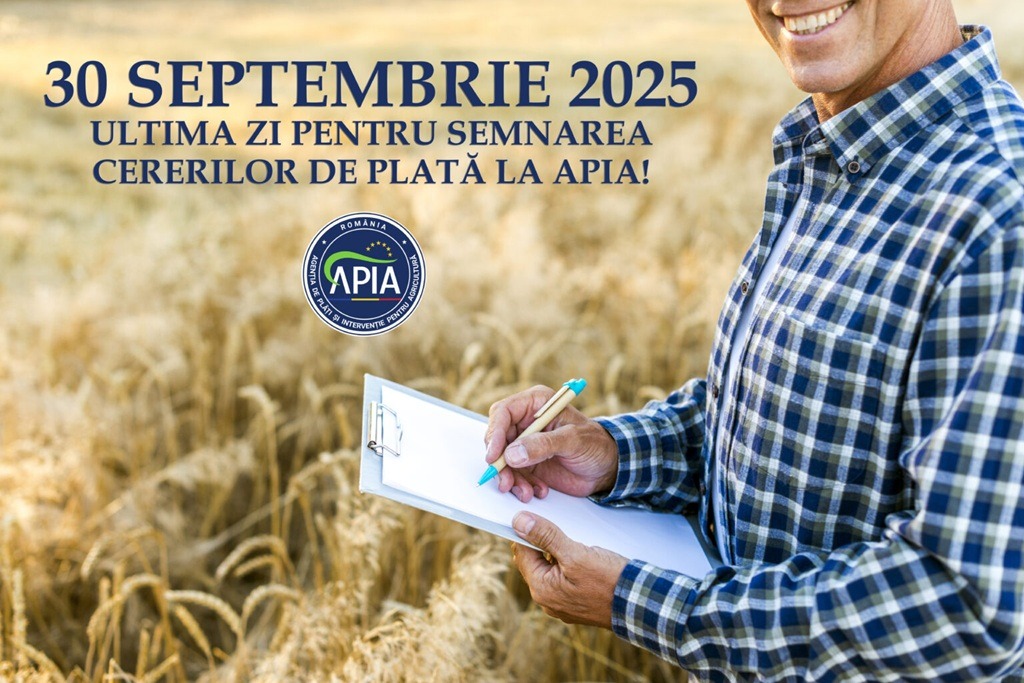 Cererile de plată la APIA