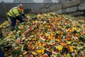 Reducerea risipei alimentare în UE