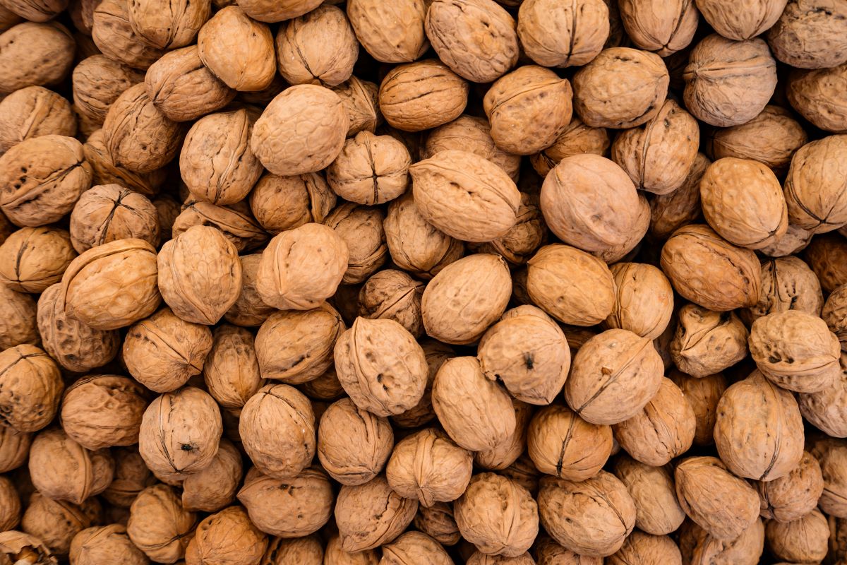 productia-de-nuci-in-judetul-gorj-la-jumatate-fata-de-anii-trecuti