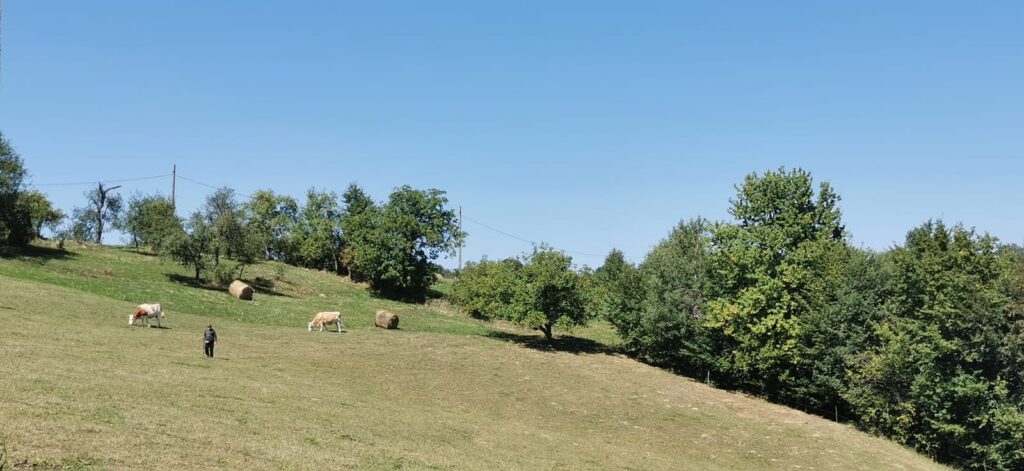 Preluca Nouă din Maramureș