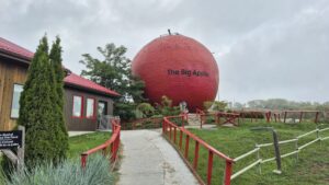 The big apple
