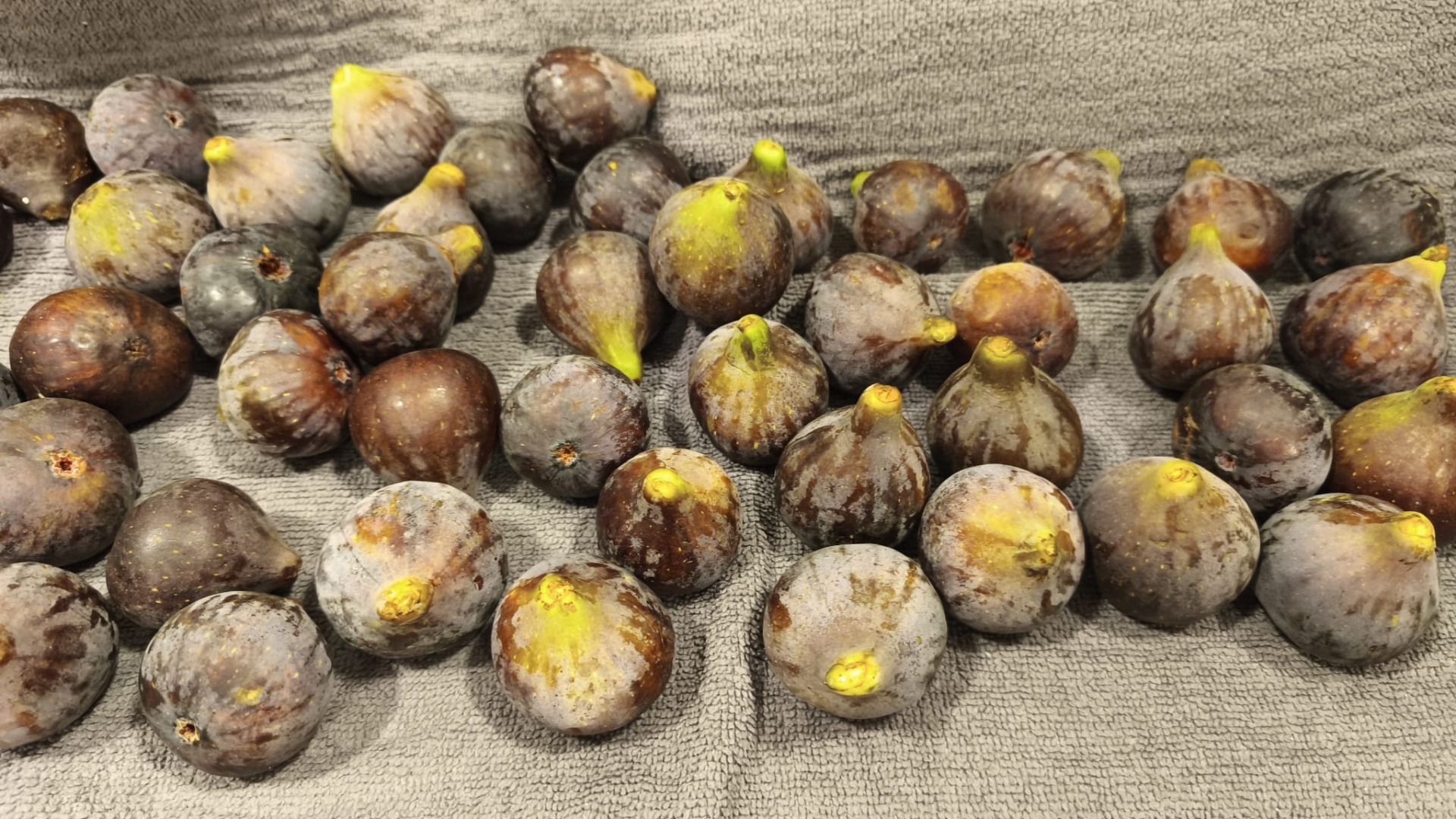 dulceata smochine