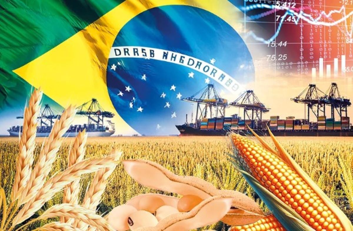 brazil