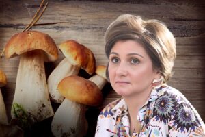dr luminita pelin