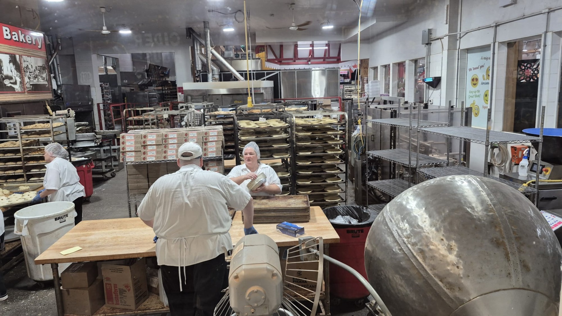 fabrica de placinte