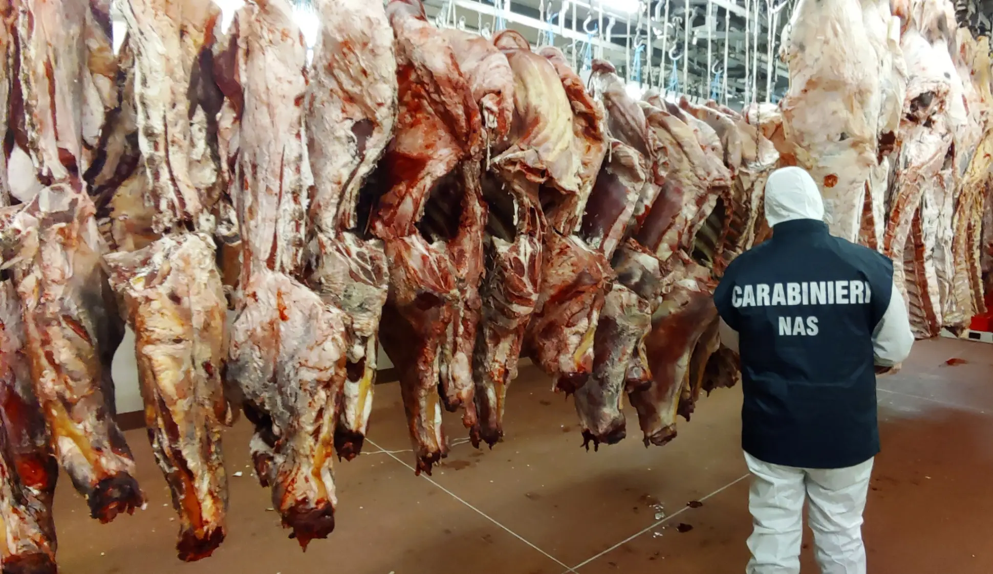Carne stricată
