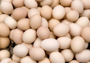 Ouăle vor fi înlocuite în industria alimentară