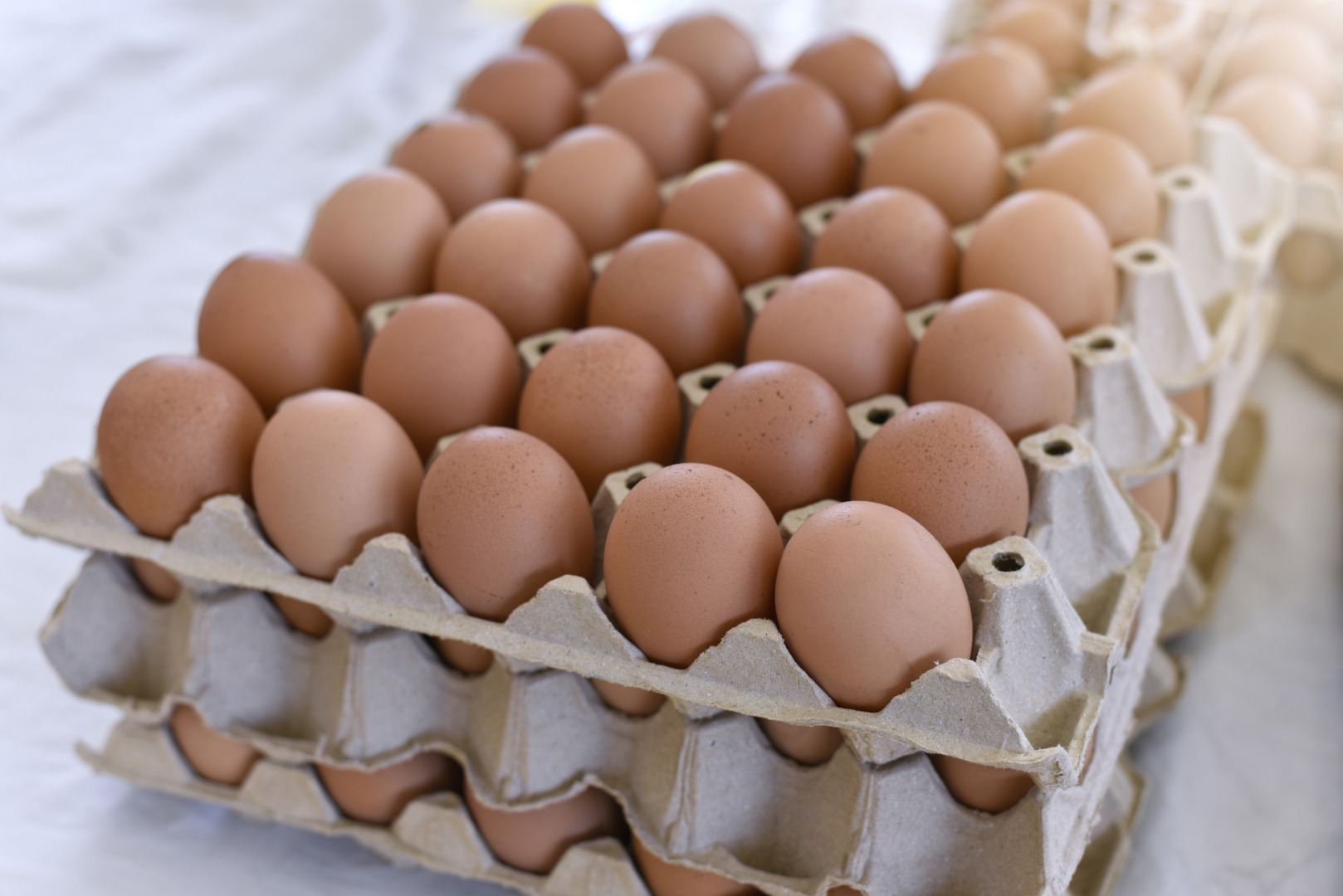 Prețul ouălor crește în Germania