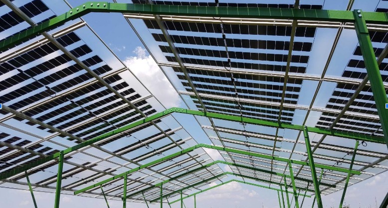 Agrivoltaic