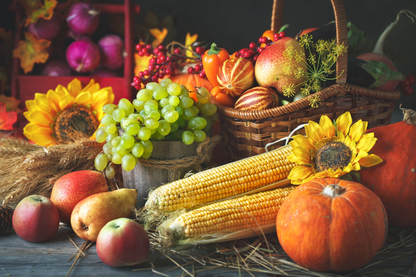 Evenimente gastronomice de toamnă