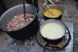 Tocan de Novaci