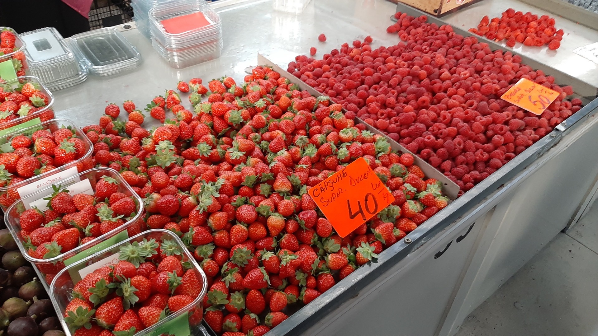 Minunății de fructe roșii, trufandale de toamnă târzie