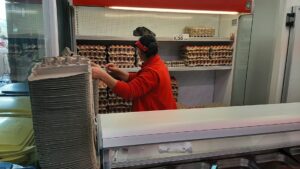 La magazinele Crevedia sunt ouă din belșug, la prețul normal