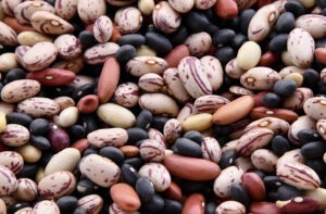 Fasolea, de la A la Z