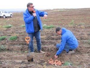 Nicolae Șerban holdin serban cartofi romanesti
