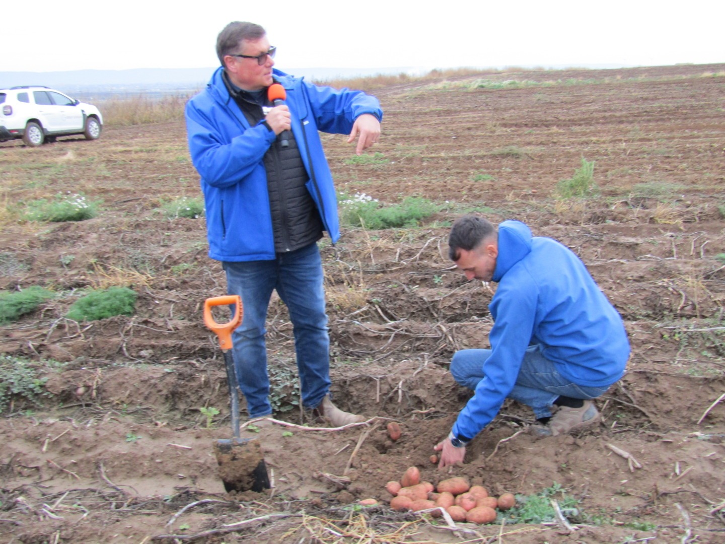 Nicolae Șerban holdin serban cartofi romanesti