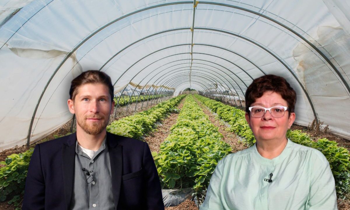 fermierul care a infiintat ferma sol si suflet