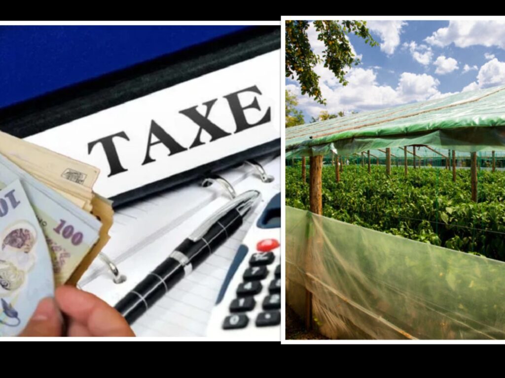 Impozite noi pentru agricultori