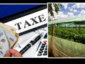 Impozite noi pentru agricultori