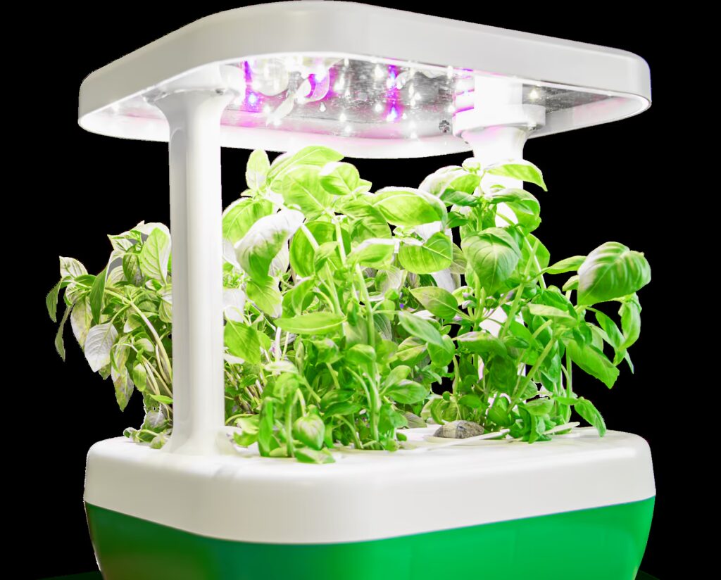 dispozitiv AI de crestere a busuiocului