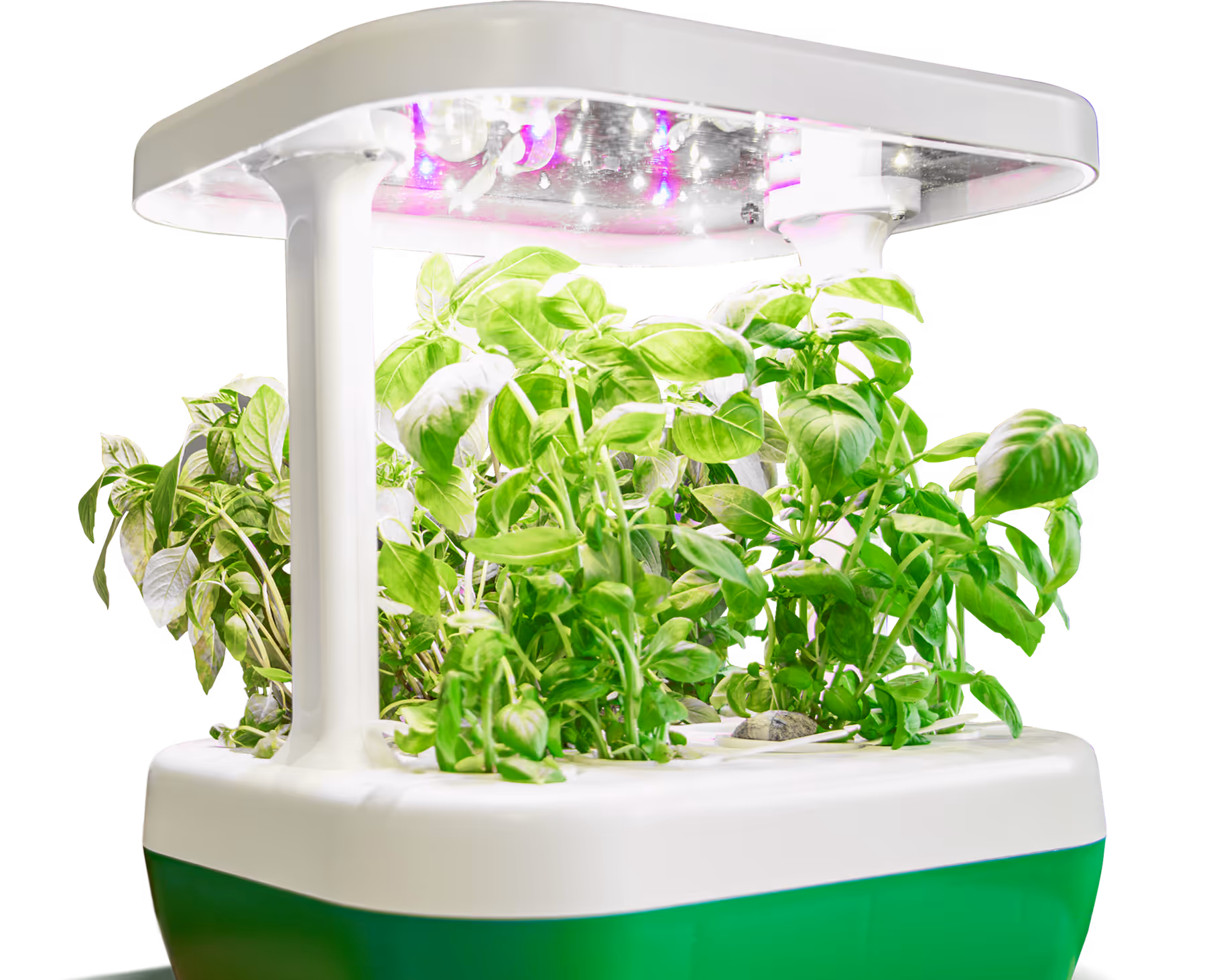 dispozitiv AI de crestere a busuiocului