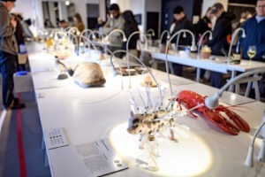 muzeu-mancaruri-dezgustatoare-dreamstime