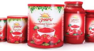 Italia-cere-Bruxelles-blocarea-temporara-controale-granita-conserve-rosii-Egipt-UE